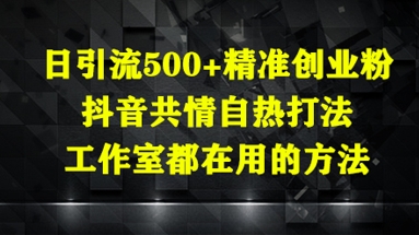 日引流500+精准创业粉，抖音共情自热打法，工作室都在用的方法-点格网络