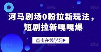 河马剧场0粉拉新玩法，短剧拉新嘎嘎爆-点格网络
