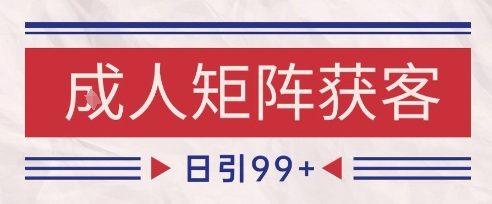 小红书某音橙人赛道引流获客，自热矩阵日引200+【揭秘】-点格网络