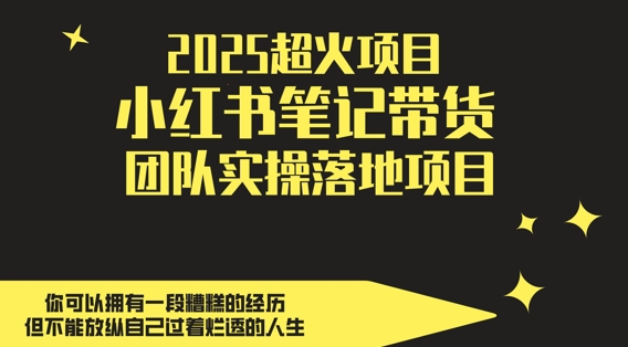 2025超火项目，副业最佳选择，小红书笔记带货团队实操落地项目，，轻松日入5张-点格网络