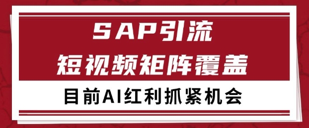 小红书某音sap赛道引流获客 自热矩阵日引200+【揭秘】-点格网络