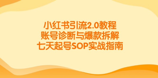 （14981期）小红书引流2.0教程，账号诊断与爆款拆解，七天起号SOP实战指南-点格网络