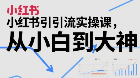 小红书引流实操课，从小白到大神-点格网络