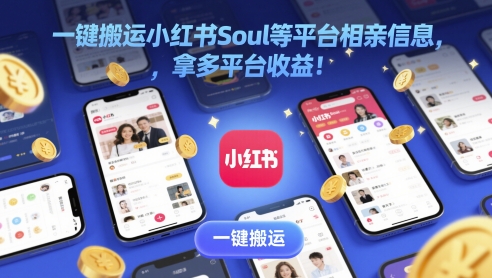 一键搬运小红书Soul等平台相亲信息，拿多平台收益!-点格网络