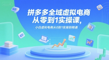 拼多多全域虚拟电商从零到1实操课，小白虚拟电商从0到1实操到精通-点格网络