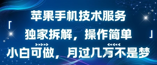 苹果手机技术服务，独家拆解，操作简单，小白可做，月过1W不是梦-点格网络