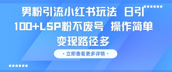 男粉引流小红书玩法，日引100+LSP粉不废号，操作简单，变现路径多-点格网络
