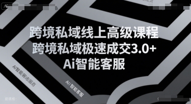 跨境私域线上高级课程，跨境私域极速成交3.0+Ai智能客服-点格网络