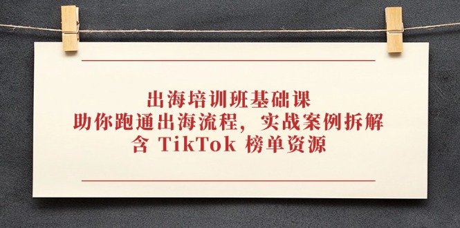 （14555期）出海培训班基础课，助你跑通出海流程，实战案例拆解，含 TikTok 榜单资源-点格网络
