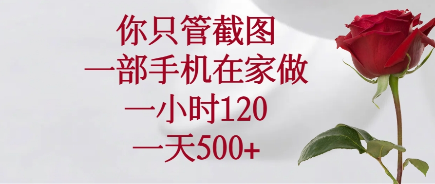 （14248期）你只管截图，一部手机在家做，一小时120，一天500+-点格网络
