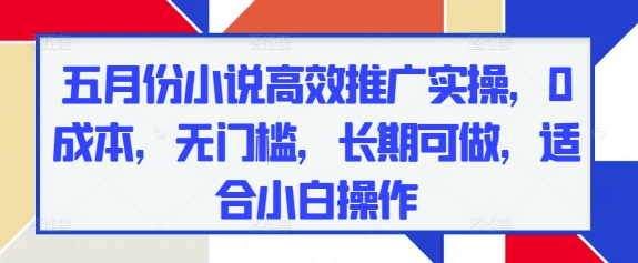 五月份小说高效推广实操，0成本，无门槛，长期可做，适合小白操作-点格网络