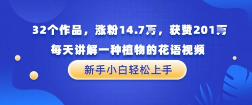 32个作品，涨粉14.7W，获赞201W，每天讲解一种植物的花语视频，无需任何技巧，新手小白轻松上手-点格网络