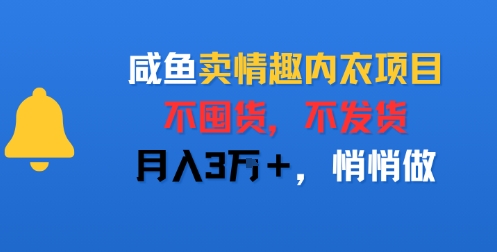 咸鱼卖情趣内衣项目，不囤货，不发货，月入3W+，悄悄做-点格网络