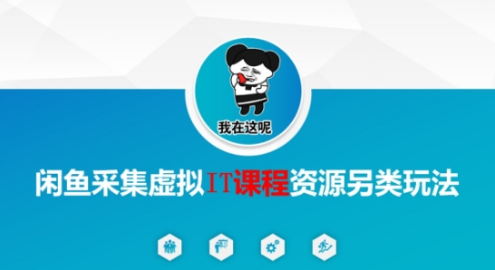 闲鱼采集虚拟IT课程资源另类玩法，干货满满-点格网络