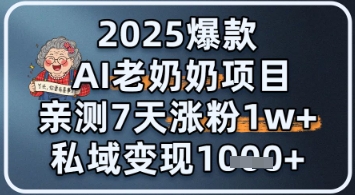 2025爆款 AI 老奶奶项目：亲测 7 天涨粉 1W+，私域变现 1k+-点格网络