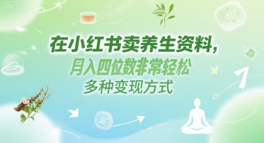 在小红书卖养生资料，月入四位数非常轻松，多种变现方式-点格网络