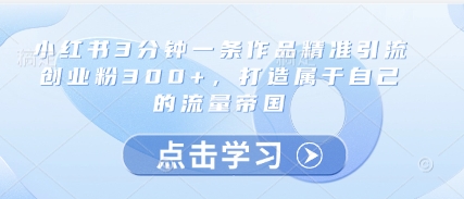 小红书3分钟一条作品精准引流创业粉300+，打造属于自己的流量帝国-点格网络
