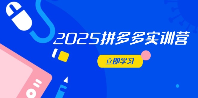 （14531期）2025拼多多实训营：深度剖析运营关键，助力电商人快速提升-点格网络
