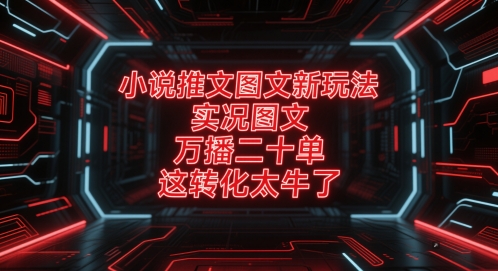 小说推文图文新玩法，实况图文，万播二十单，这转化太牛了！-点格网络