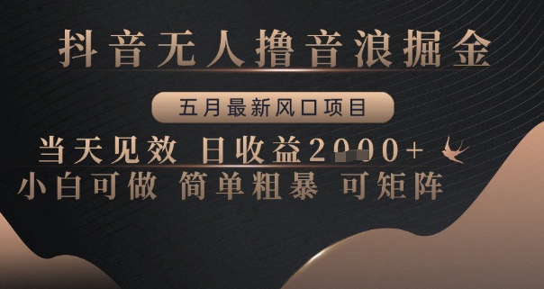 抖音无人撸音浪掘金，五月最新风口项目，当天见效，日收益多张，小白可做简单粗暴可矩阵【揭秘】-点格网络
