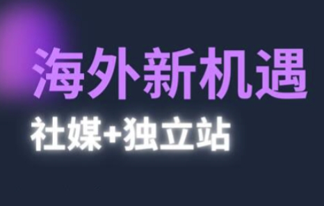 2025出海新机遇(社媒+独立站)，海外新机遇，实现独立站的高效运营与出海-点格网络