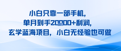 小白只靠一部手机，单月到手2W+利润，玄学蓝海项目，小白无经验也可做-点格网络