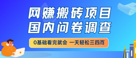 网创搬砖项目，国内问卷调查，小白轻松上手，一天三四张的也不难，干就完了【揭秘】-点格网络