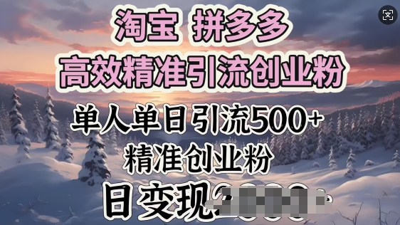 淘宝拼多多高效精准引流创业粉，单人单日引流500+创业粉，日变现多张-点格网络