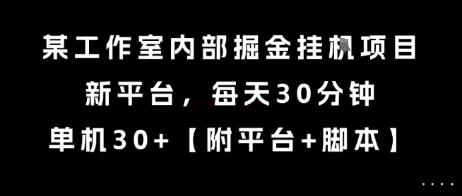 某工作室内部掘金挂G项目，新平台，每天30分钟，单机30+【揭秘】-点格网络