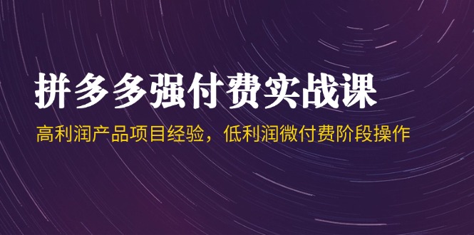 （14874期）拼多多强付费实战课-44期，高利润产品项目经验，低利润微付费阶段操作-点格网络