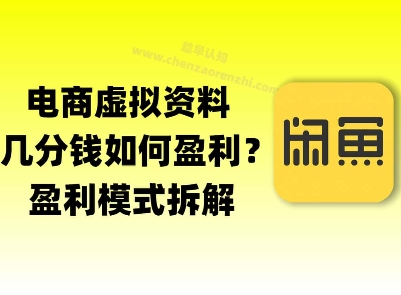 揭秘虚拟电商1分钱资料与卡券是如何获得收益的(详细拆解)-点格网络