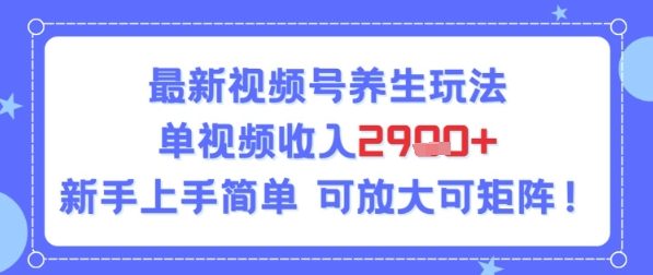 视频号养生玩法，单视频收入2.9k，新手上手简单-点格网络