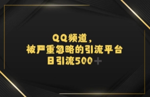 引流蓝海QQ频道，日引500+创业粉-点格网络