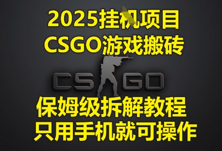 2025挂G项目，CSGO游戏搬砖，保姆级拆解教程，只用手机就可操作【揭秘】-点格网络