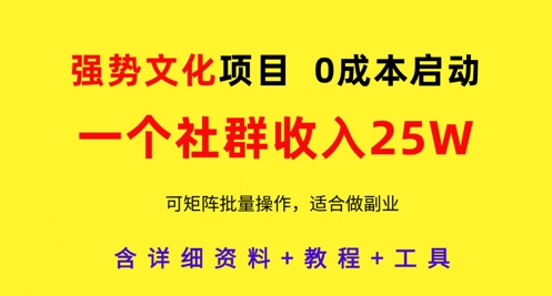 强势文化项目，一个社群收入25个W，0成本启动，可矩阵批量操作，原创详细实操教程-点格网络