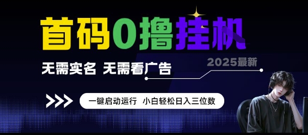 首码0撸挂G项目，无需实名无需看广告 一键启动运行，小白轻松日入三位数【揭秘】-点格网络
