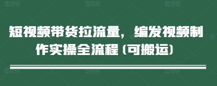 短视频带货拉流量，编发视频制作实操全流程(可搬运)-点格网络