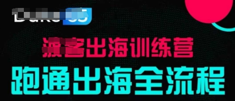 出海训练营基础课，​跑通出海全流程，实战案例拆解-点格网络