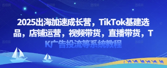 2025出海加速成长营，TikTok基建选品，店铺运营，视频带货，直播带货，TK广告投流等系统教程-点格网络