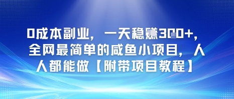 0成本副业，一天稳入3张，全网最简单的咸鱼小项目，人人都能做【附带项目教程】-点格网络