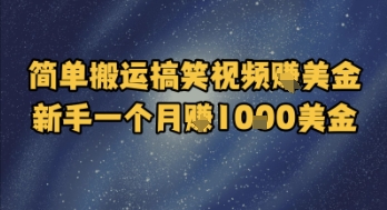 简单搬运搞笑视频挣美金，新手一个月入1k美金-点格网络