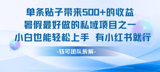 单条贴子带来5张的收益，暑假最好做的私域项目之一，小白也能轻松上手，有小红书就行-点格网络