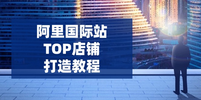 （14269期）阿里国际站TOP店铺打造教程：涵盖平台到高阶，解决运营难题，提升询盘-点格网络