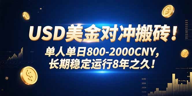 （15551期）USD美金对冲搬砖!单人单日800-2000CNY，长期稳定运行8年之久!-点格网络