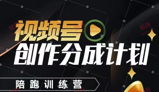 视频号创作分成计划陪跑训练营，手把手教会你如何制作视频，细水长流型项目-点格网络