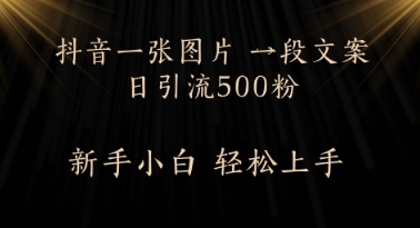 每天2分钟，抖音一张图片 一段文案日引流500粉-点格网络