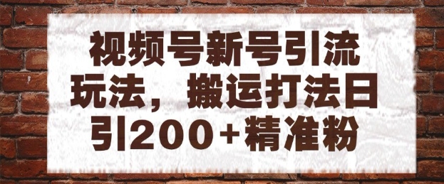 视频号新号引流玩法，搬运打法日引200+精准粉，可矩阵放大【揭秘】-点格网络