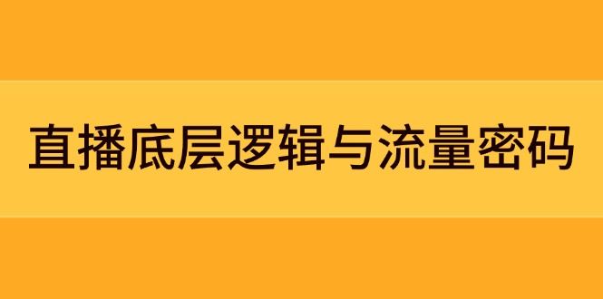 （14695期）直播底层逻辑与流量密码：定位模型+案例拆解，急速流承接与数据优化全攻略-点格网络