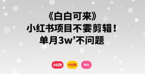 小白可来 小红书项目不需要剪辑 单月3w不是问题-点格网络