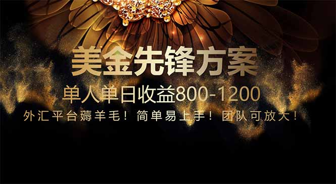 （14761期）免费技术！小众赛道！一年布局抵三年努力，每日800+-点格网络